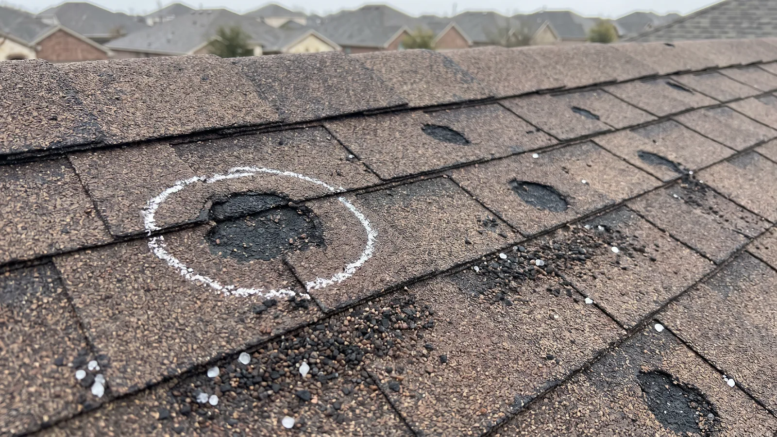 Close-up of asphalt shingles with round hail bruises and knocked-off granules, a chalk circle around one strike, after a Central Texas storm